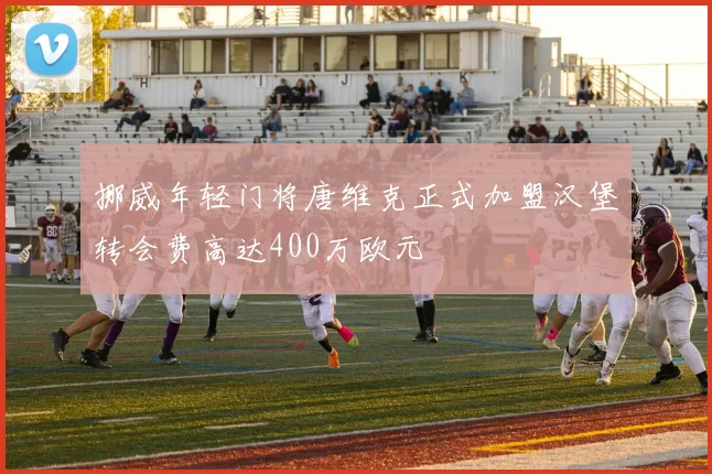 挪威年轻门将唐维克正式加盟汉堡转会费高达400万欧元